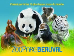 sortie Beauval