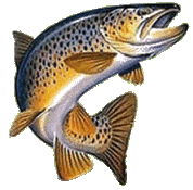 concours de pêche 2015